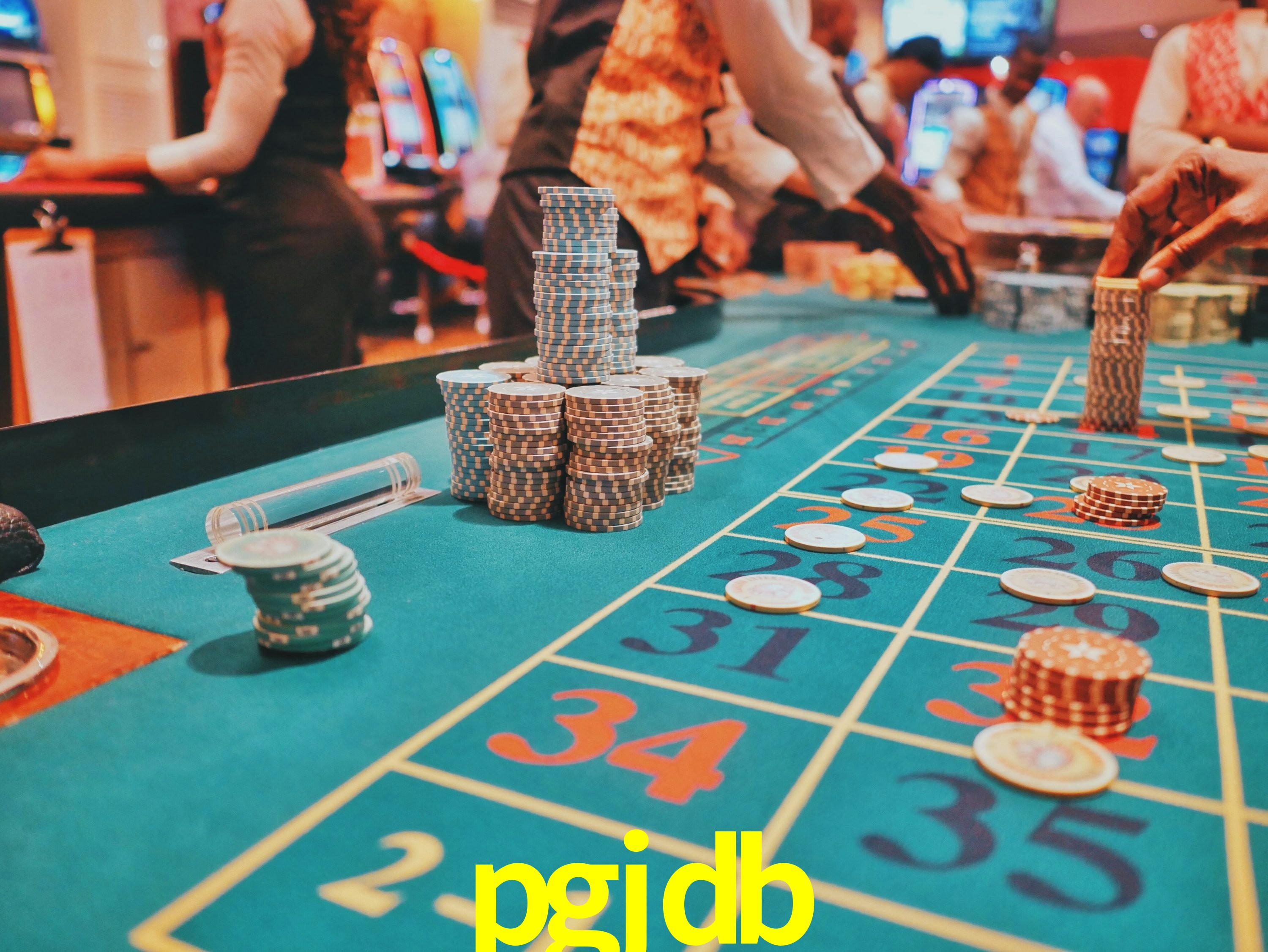 Casino Ao Vivo pgjdb